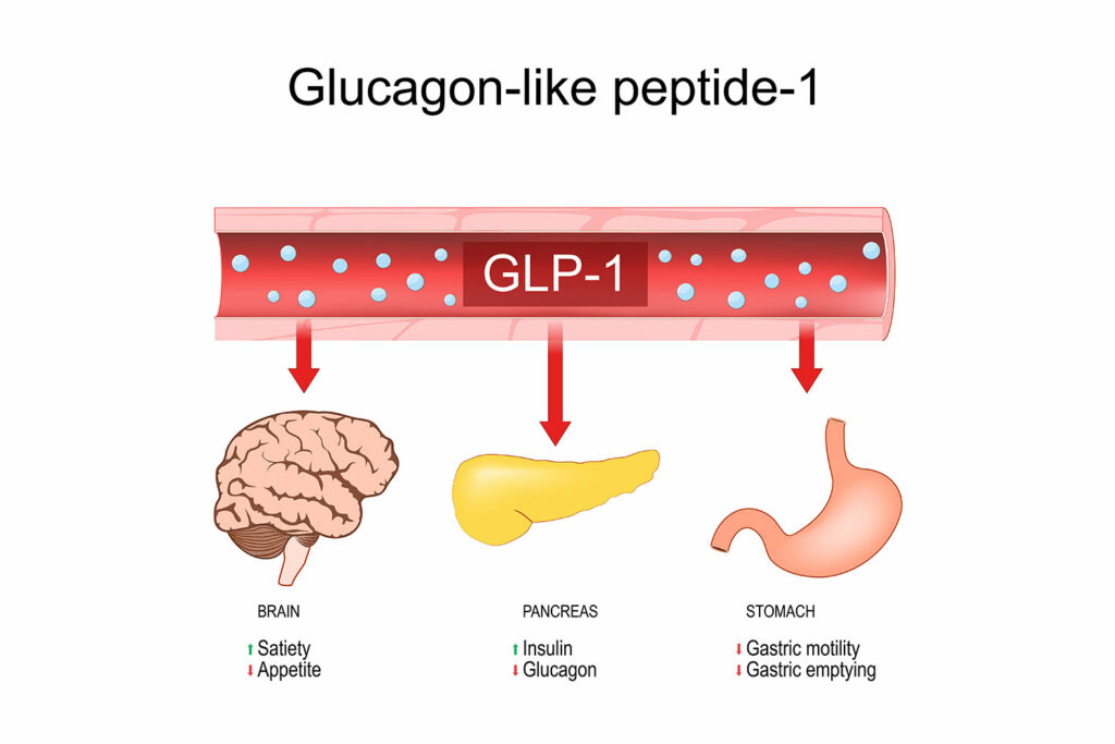 How Tirzepatide and Semiglutide work